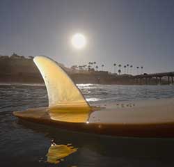 Surfboard on the Sea